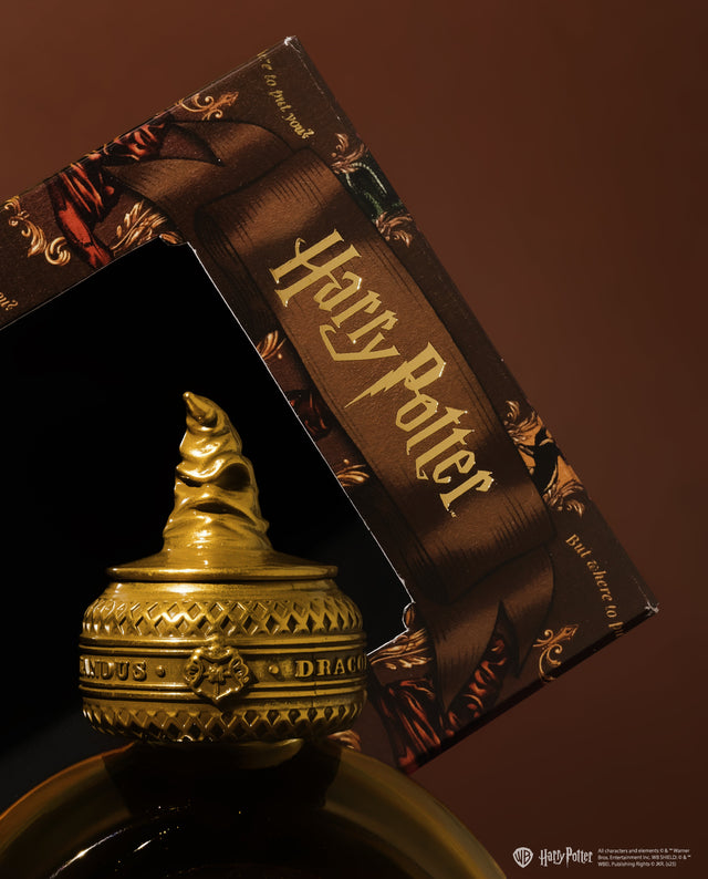 WB Fountain Pen Ink 38mL - Harry Potter - WBHP / The Sorting Hat - 2543