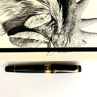 Optima Black