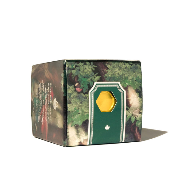 Cloak and Forest Ink (20 ml)