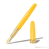 WB Joule Fountain Pen / WBHP Harry Potter - Hufflepuff